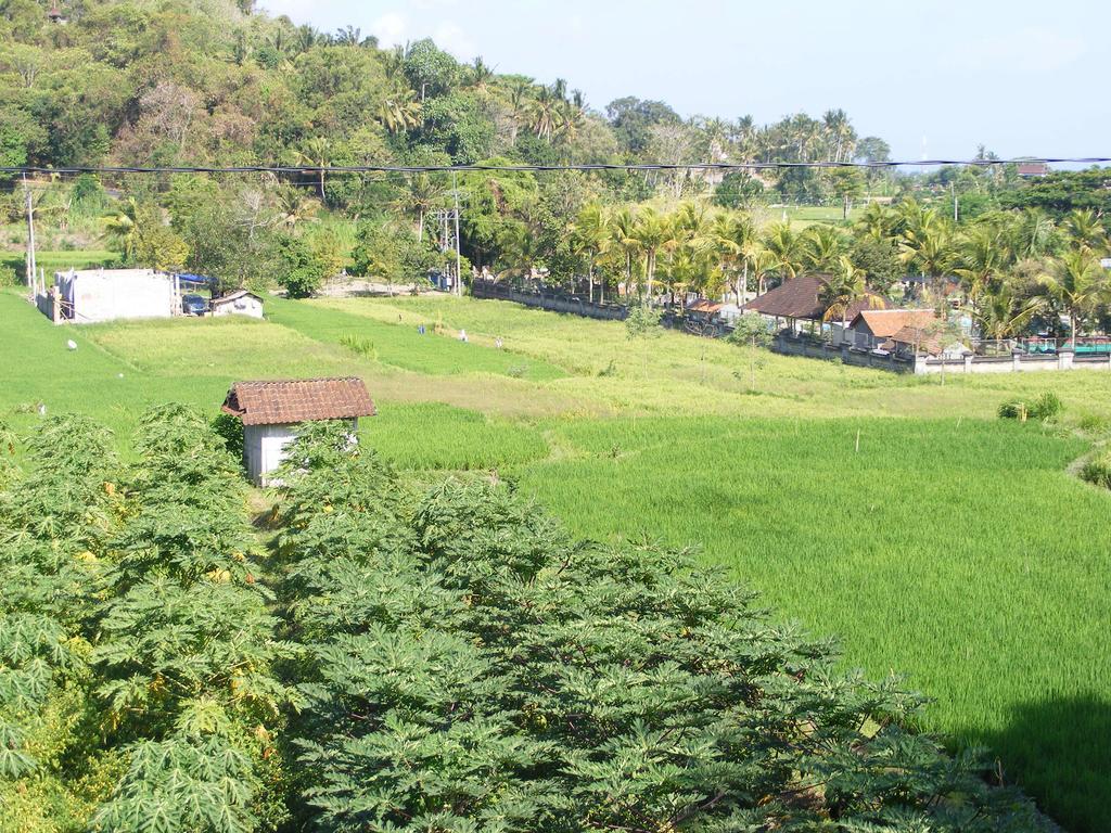 Hotel Wahyu Dewata Payangan Esterno foto