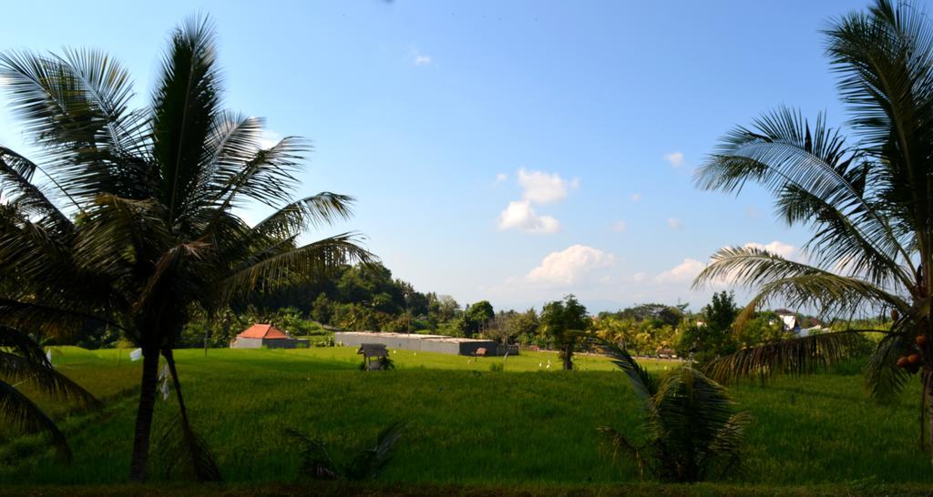 Hotel Wahyu Dewata Payangan Esterno foto